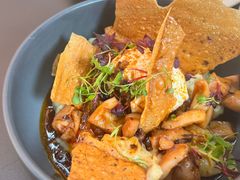 八爪鱼-Ocean's Table 欧舍