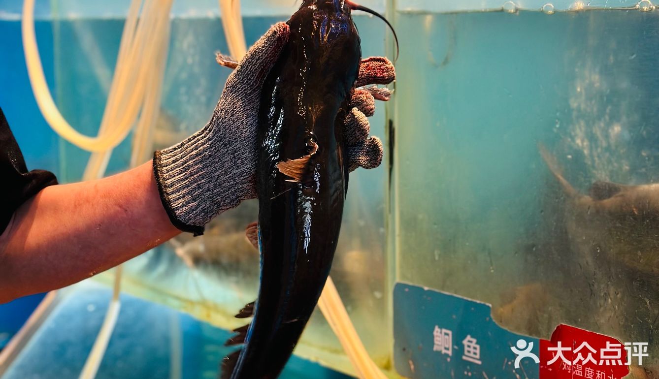 百吃不厌的鱼酷荔枝香辣烤鱼