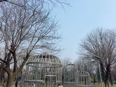 -洨河生态公园