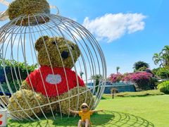 -三亚亚龙湾天域度假酒店