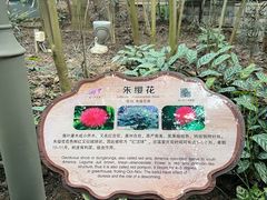 -南山植物园