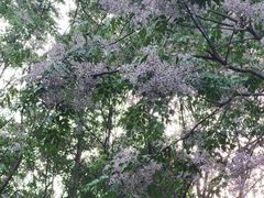 -白塘生态植物园