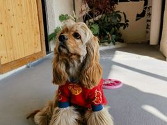 -美家乐农庄·露营·团建(大治路店)