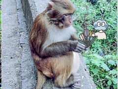 -黔灵山公园