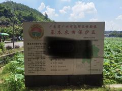 -红山村