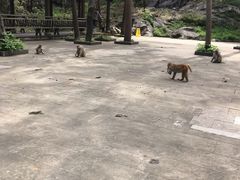 -千岛湖东南湖区