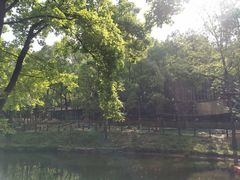 -紫金山天文台