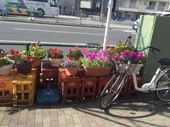-秋叶原电器街