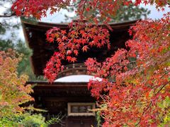 -常寂光寺