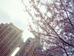 -西北湖绿化广场