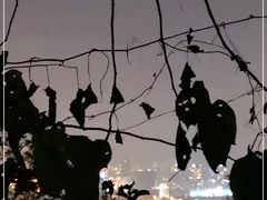 -紫金山天文台