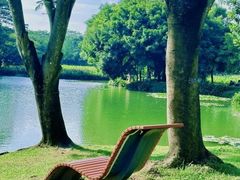 -天津武清北运河郊野公园房车露营地