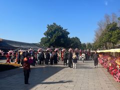 -横店圆明新园