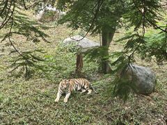 -泉州海丝野生动物世界