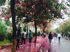 -华侨大学(厦门校区)