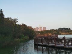 -五缘湾湿地公园