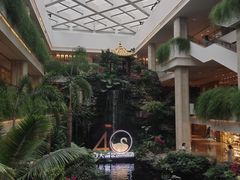 -白天鹅宾馆·流浮阁咖啡厅