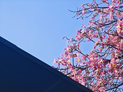 -福道