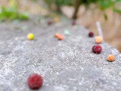 -塘栖枇杷特色园区