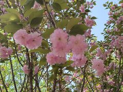 -长白岛森林公园