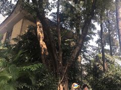 -广州中山纪念堂