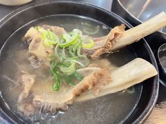 -莲洞本家
