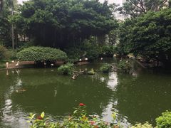 -九龙公园
