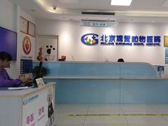 -北京观赏动物医院·24小时大型综合·猫专科·异宠专科