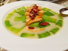 鱼汤虾干枸杞浸凉瓜-8餐厅(新葡京酒店)
