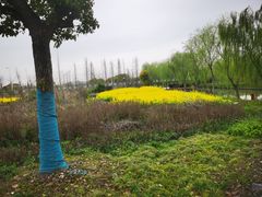 -广富林郊野公园