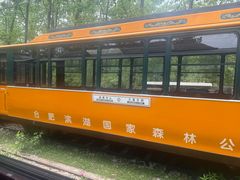 -合肥滨湖国家森林公园