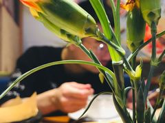 -百特喜·意大利餐厅(万达常德店)
