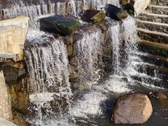 -五营红松林海景区