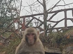-重庆云阳龙缸景区