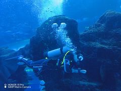 -成都浩海立方海洋公园