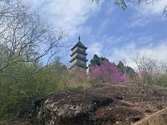 -天台山赤城山景区