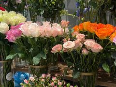-BOBLOOM花店(宝龙旭辉广场店)