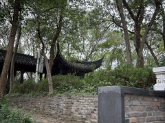 -上海佘山国家森林公园天马山园