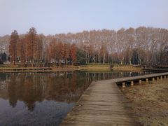 -东湖落雁景区