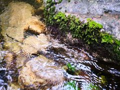-驼梁风景区