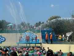 -秦皇岛乐岛海洋王国