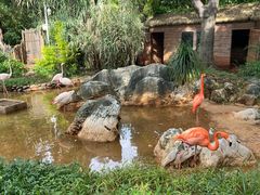 -昆明动物园