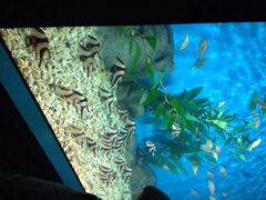 罗源湾海洋世界-福州罗源湾海洋世界旅游区