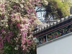 -深圳国际园林花卉博览园