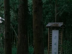 -同里国家湿地公园