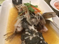 -席家花园(巨鹿花园店)