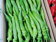 -海吉星国际农产品物流管理有限公司