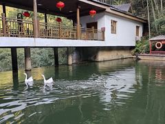 -周洛大峡谷