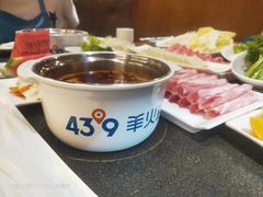 -蒙都43°9羊火锅(平庄店)