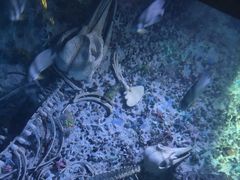 -南昌融创海世界